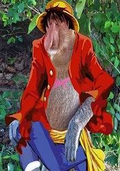 One Piece! user avatar image